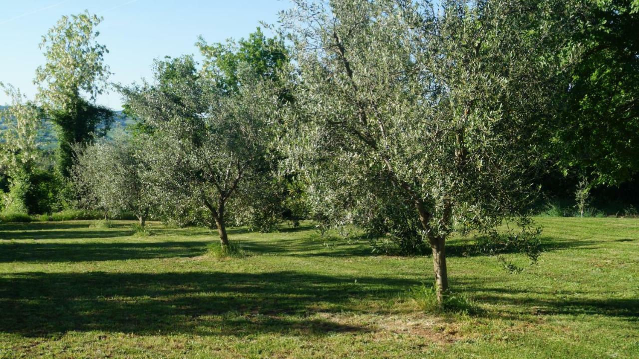 Agriturismo Poggio San Pietro Pitigliano Ngoại thất bức ảnh