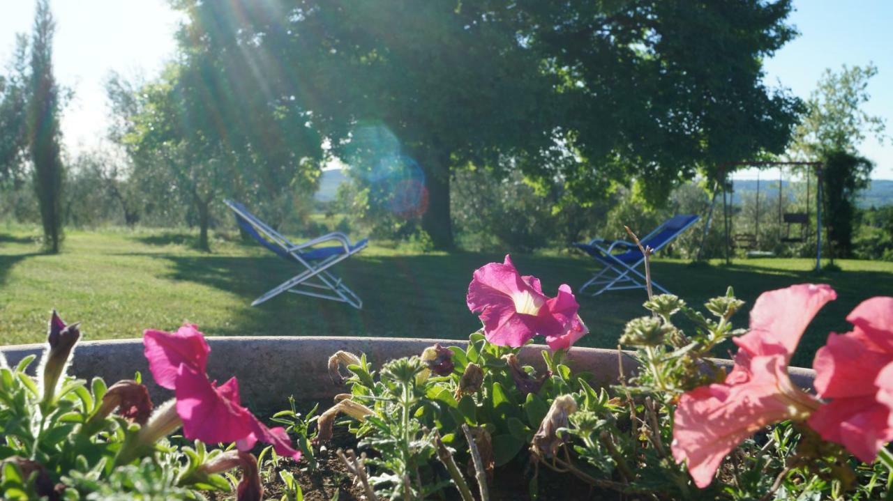 Agriturismo Poggio San Pietro Pitigliano Ngoại thất bức ảnh